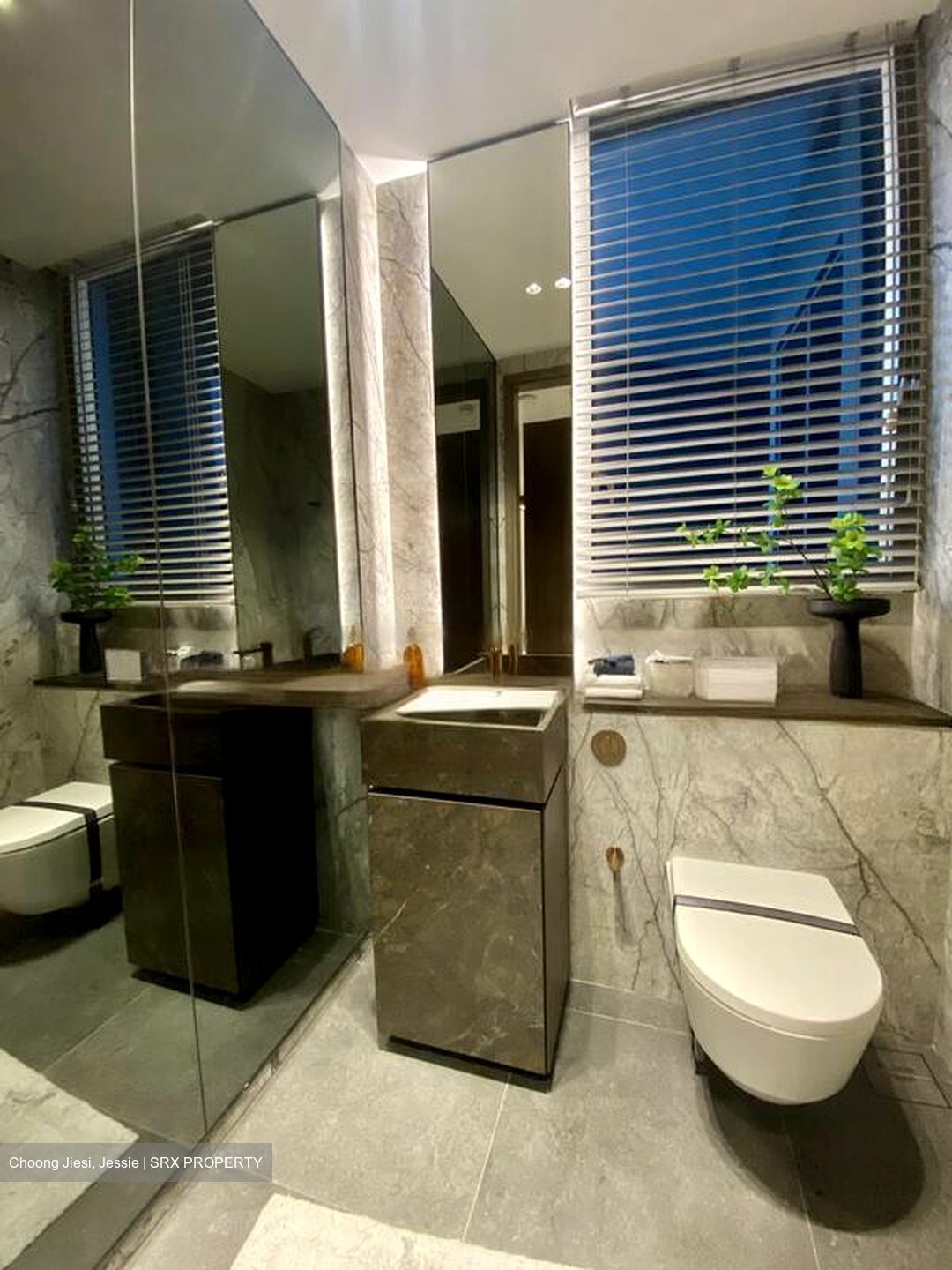 Zion Road (D3), Condominium #472825581